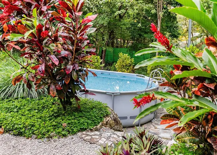 Pelada Jungle Nest 5-Min Walk To Beach & River