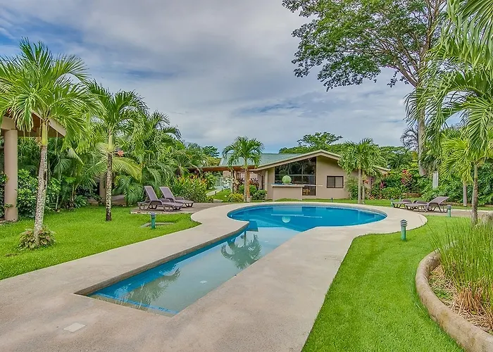 Hidden Palms